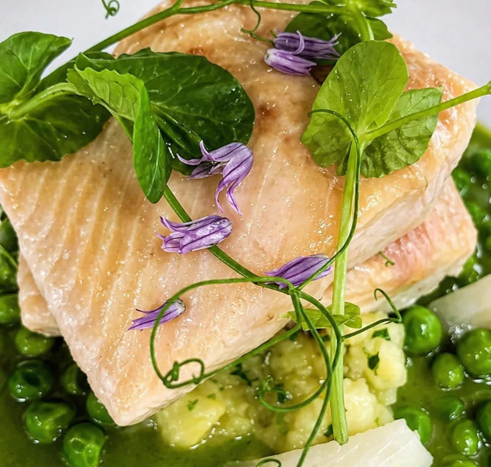 Image alt description