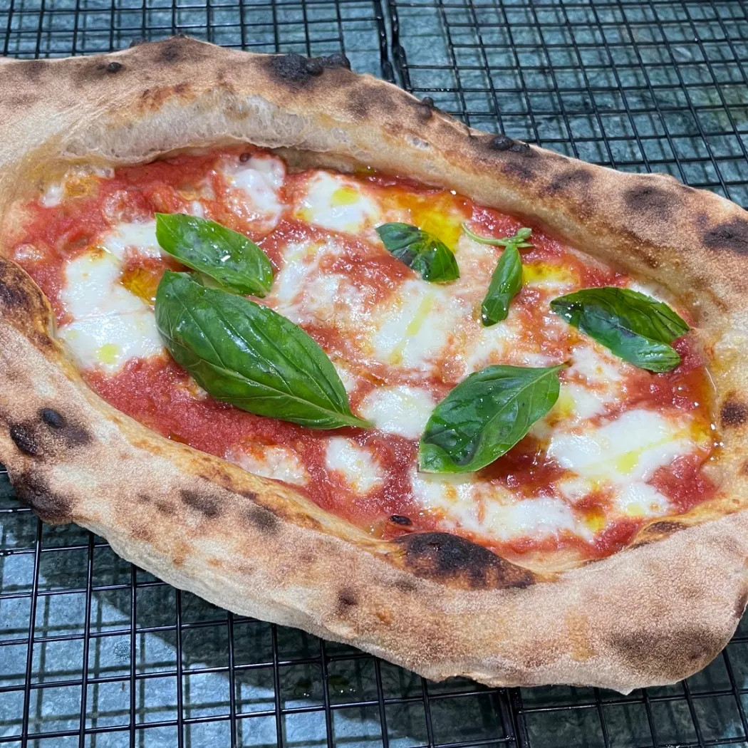 Image alt description