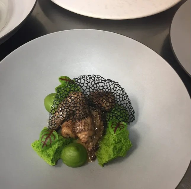 Image alt description