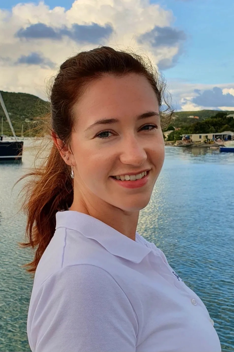 Image alt description