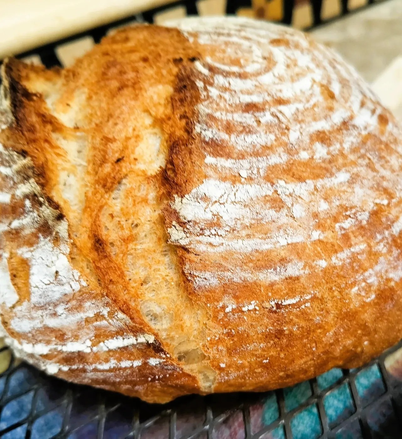 Image alt description