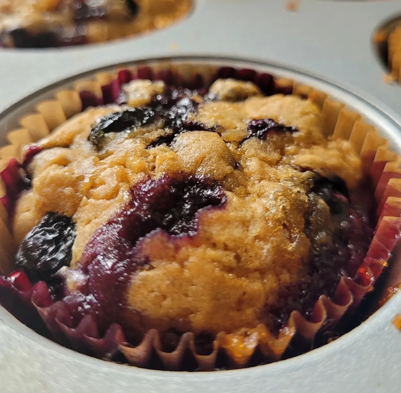 Image alt description