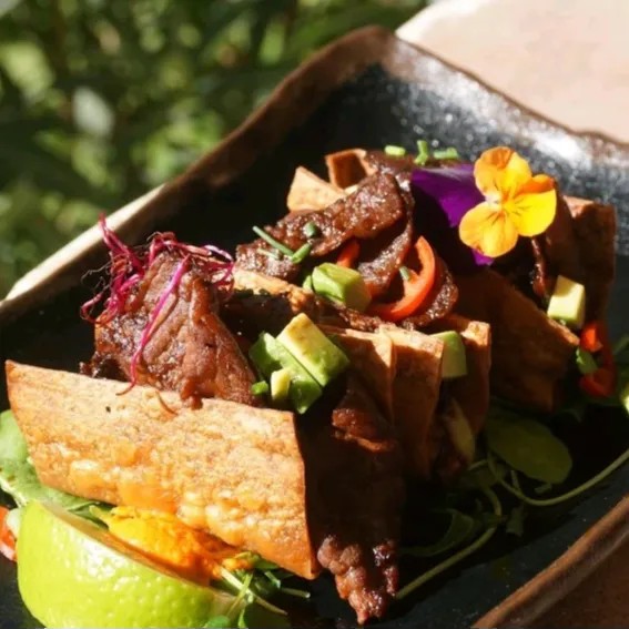 Image alt description