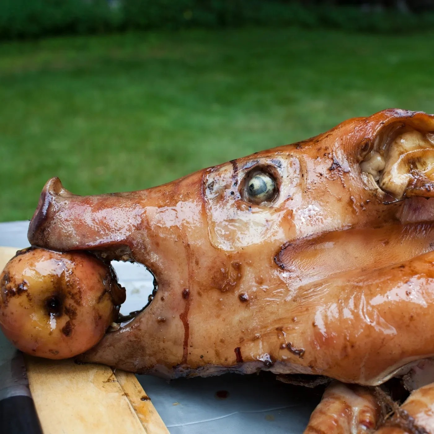 Image alt description