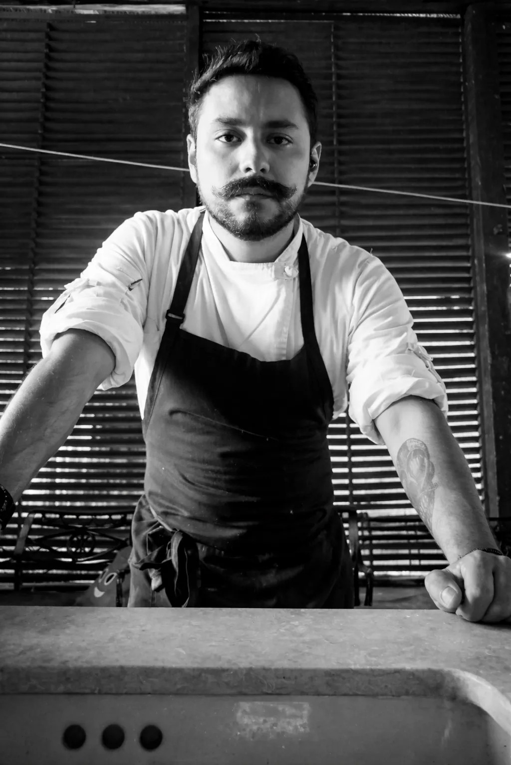 Image alt description