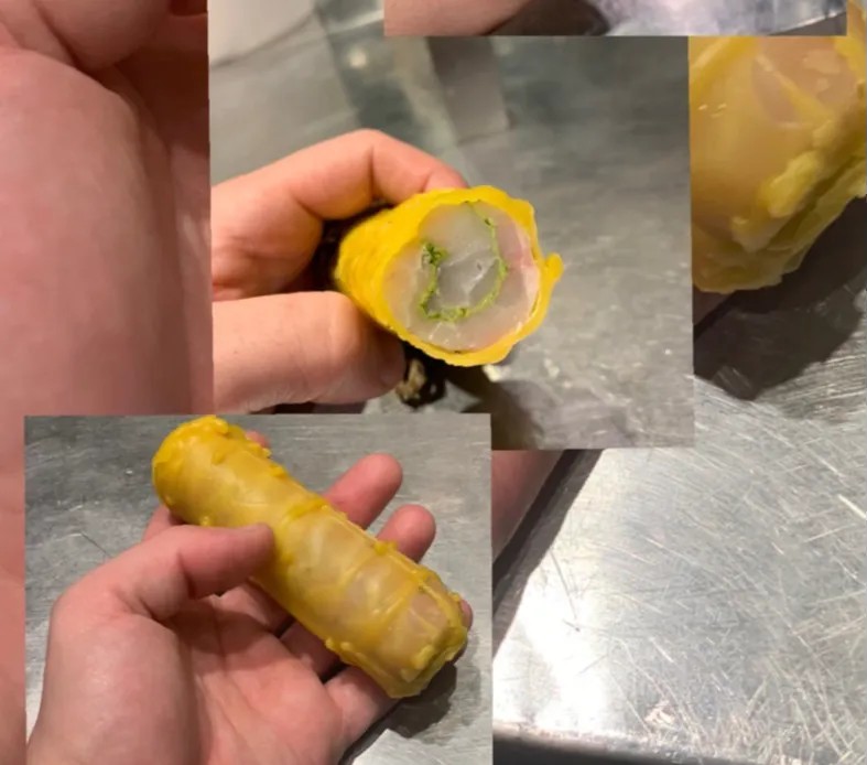 Image alt description