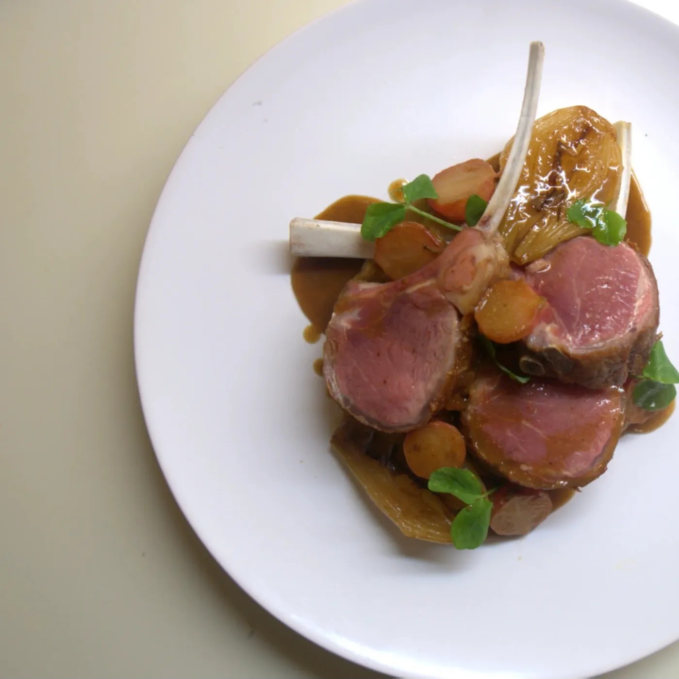 Image alt description