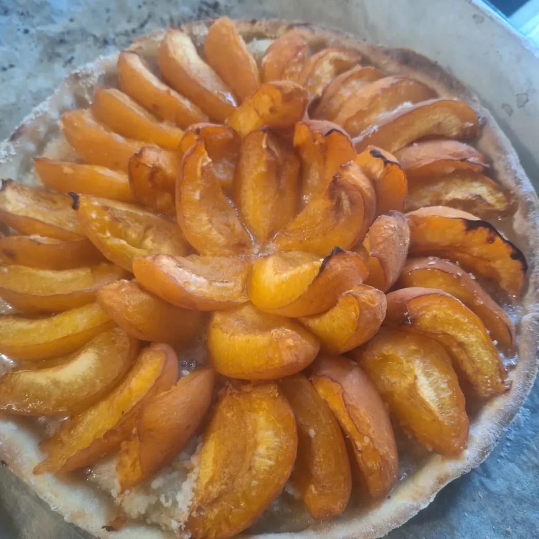 Image alt description