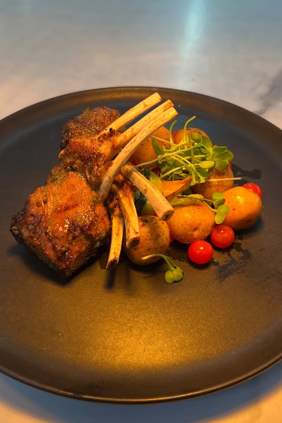 Image alt description