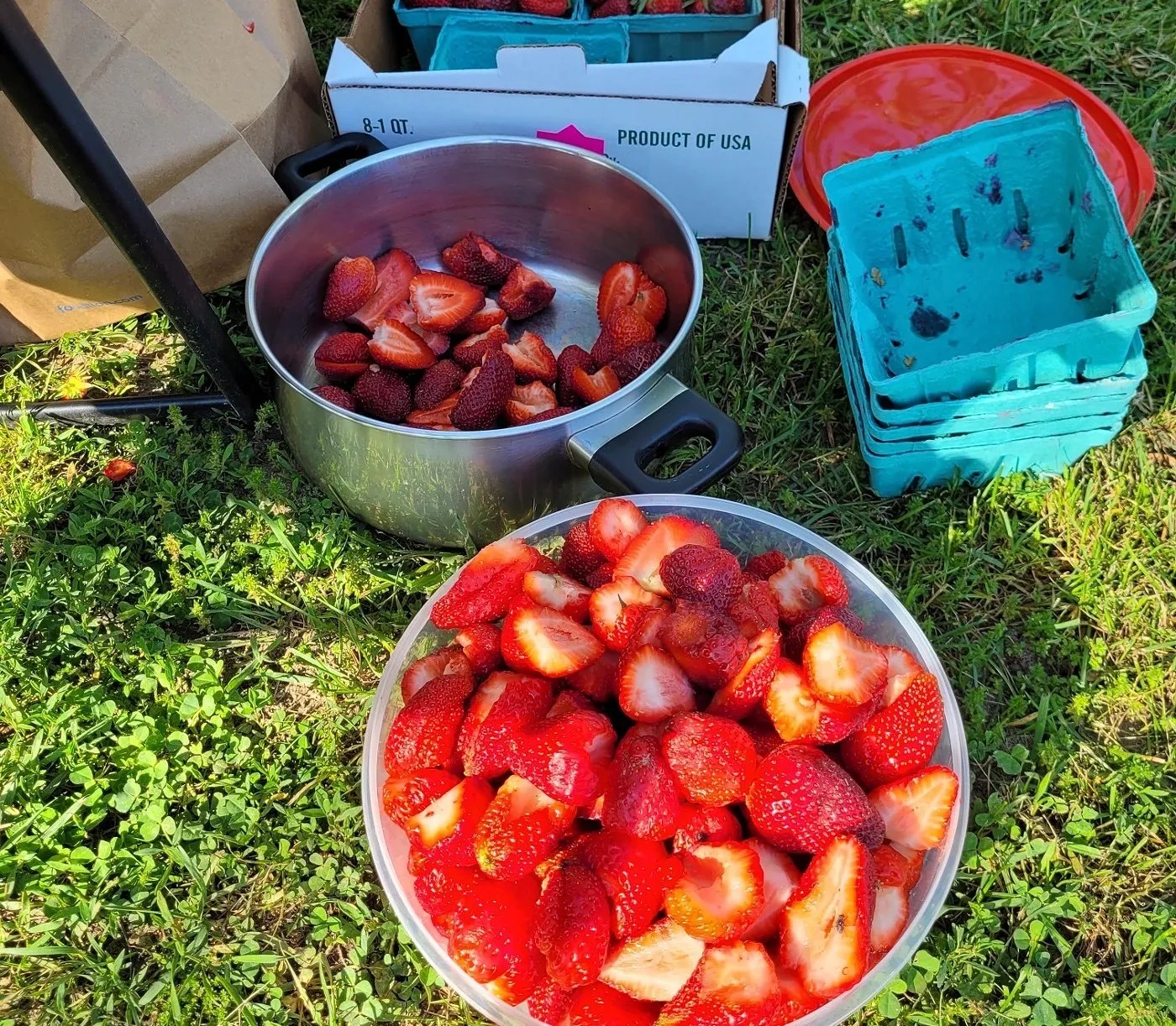 Image alt description