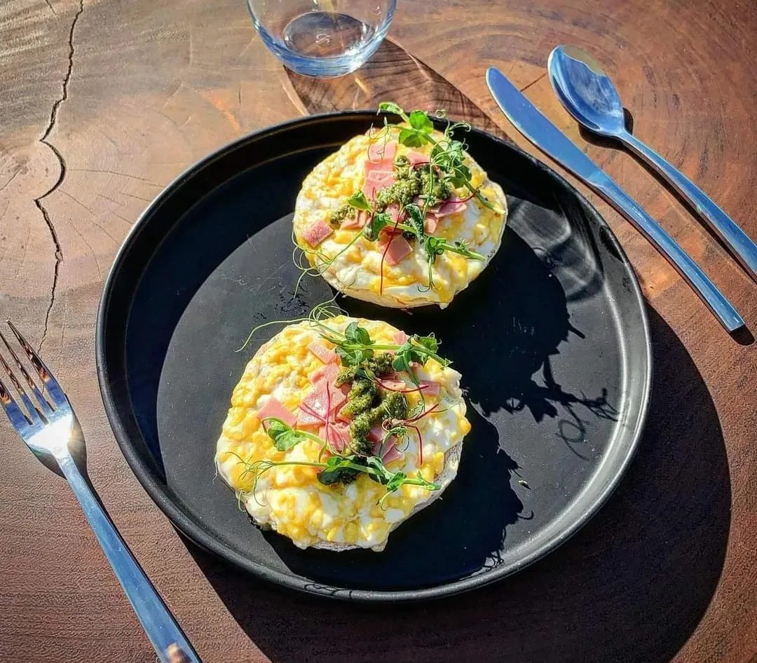 Image alt description