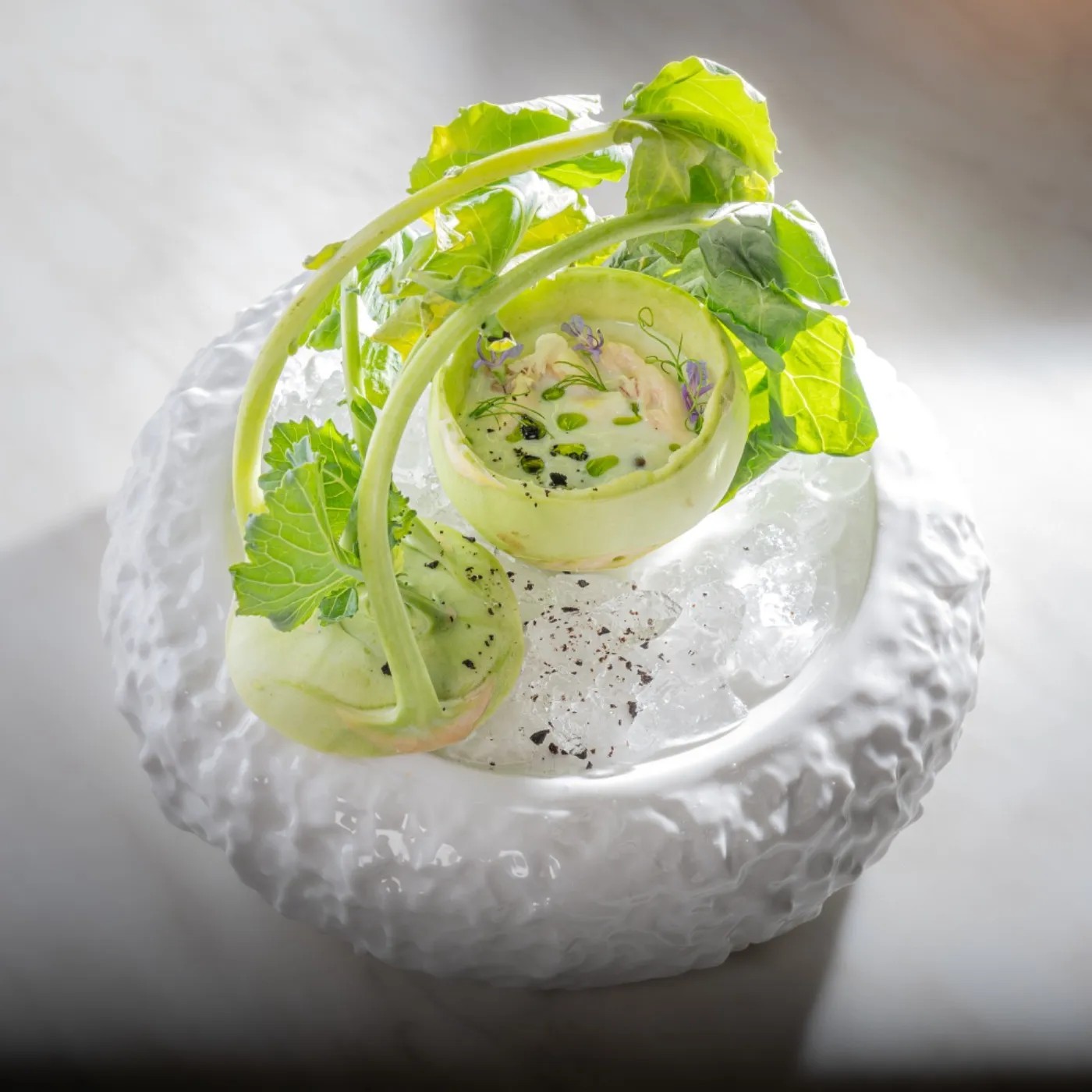 Image alt description