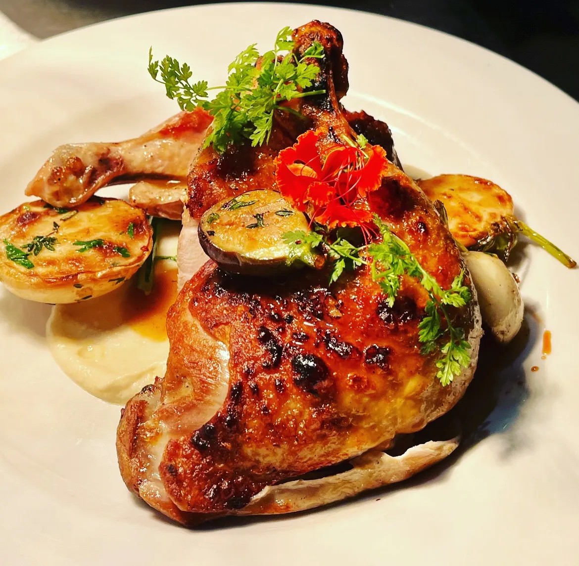 Image alt description