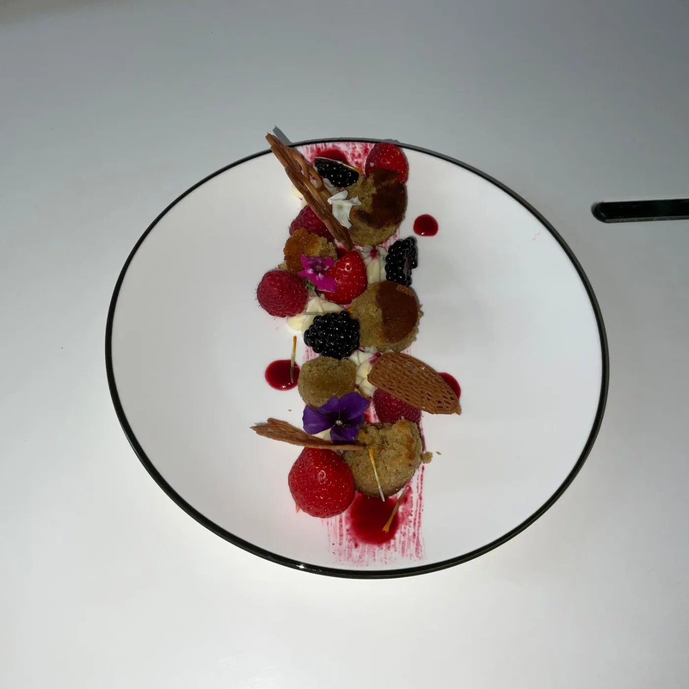 Image alt description