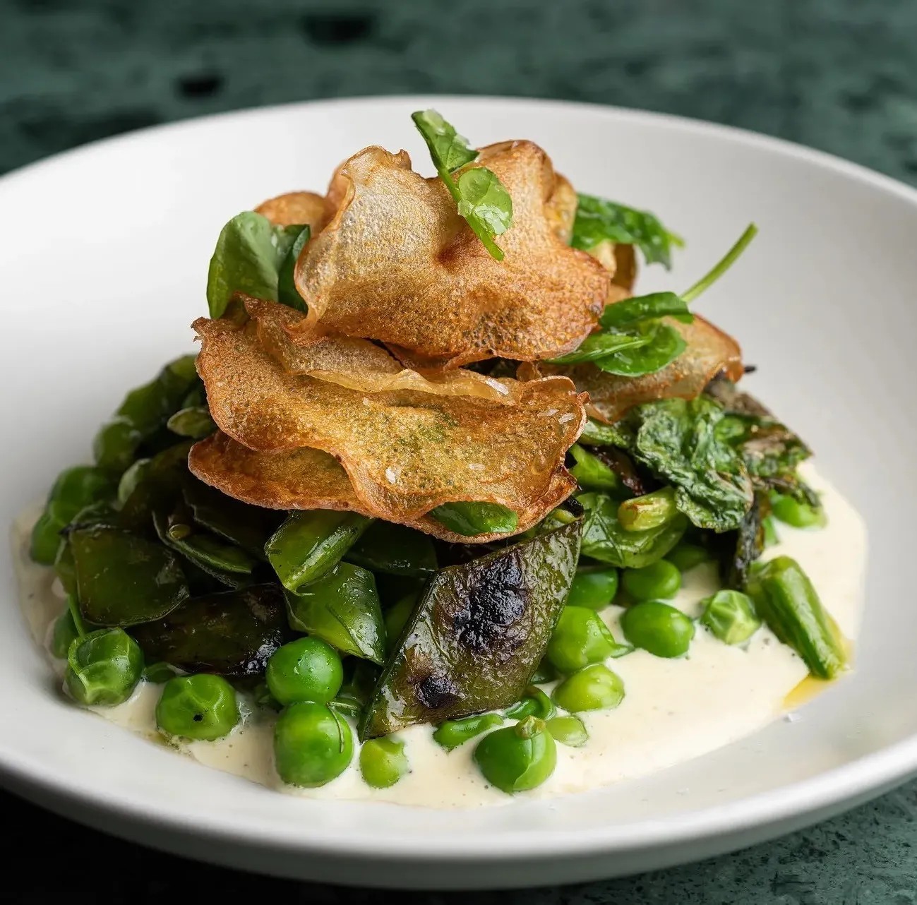 Image alt description