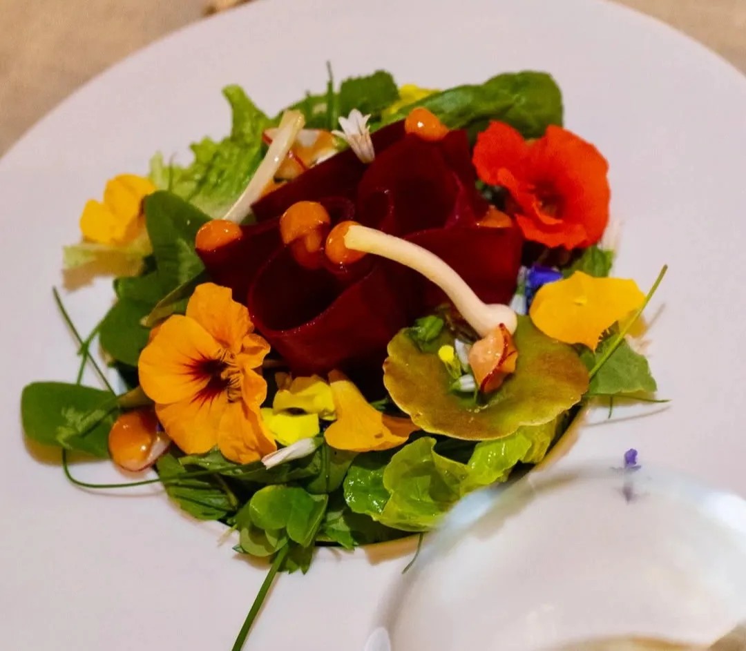 Image alt description