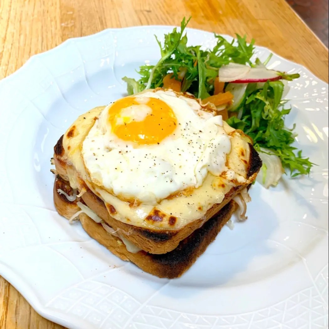 Image alt description