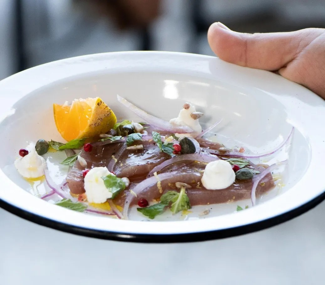 Image alt description