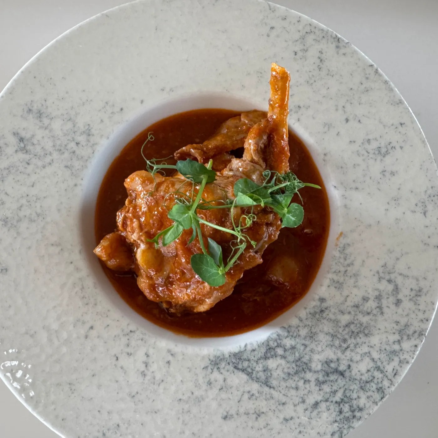 Image alt description