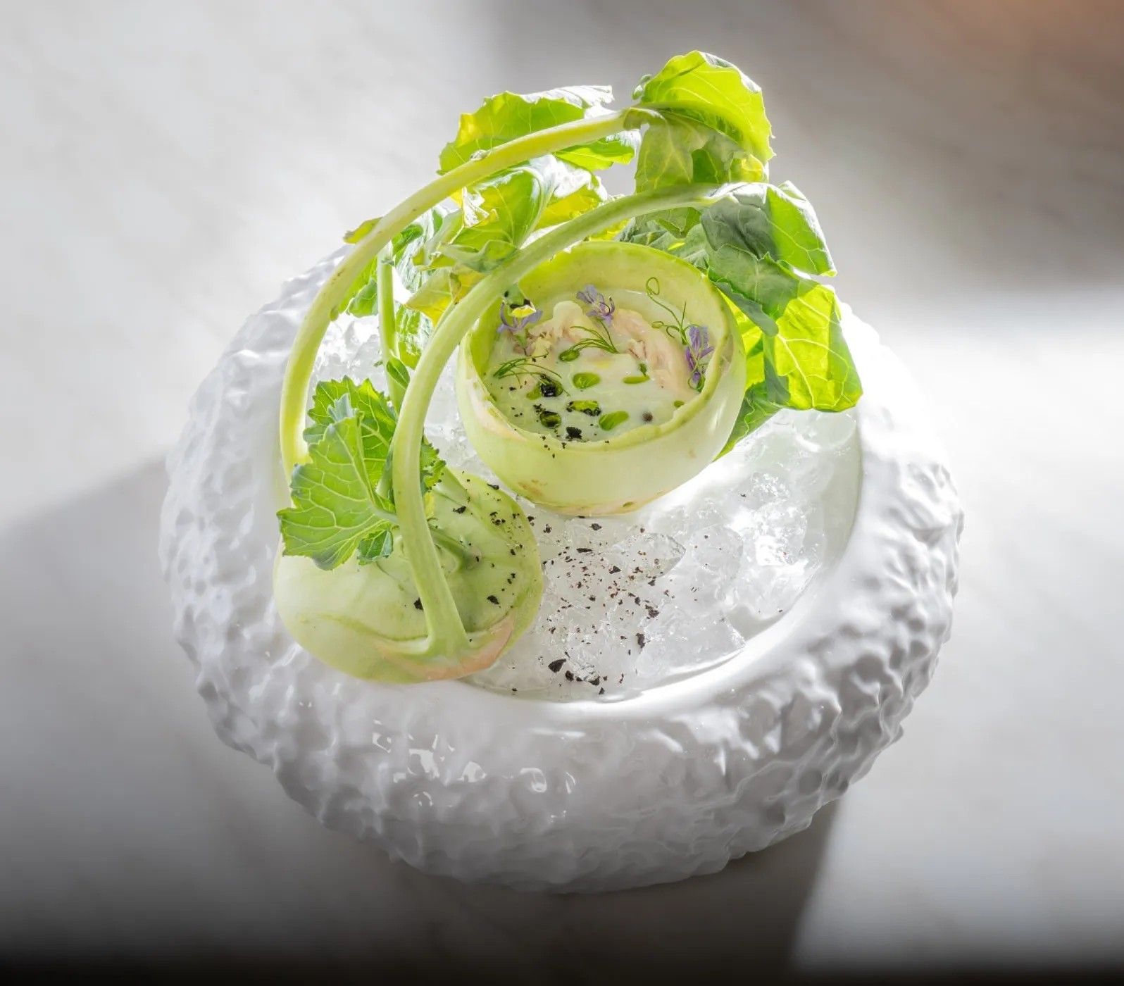 Image alt description