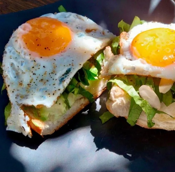 Image alt description