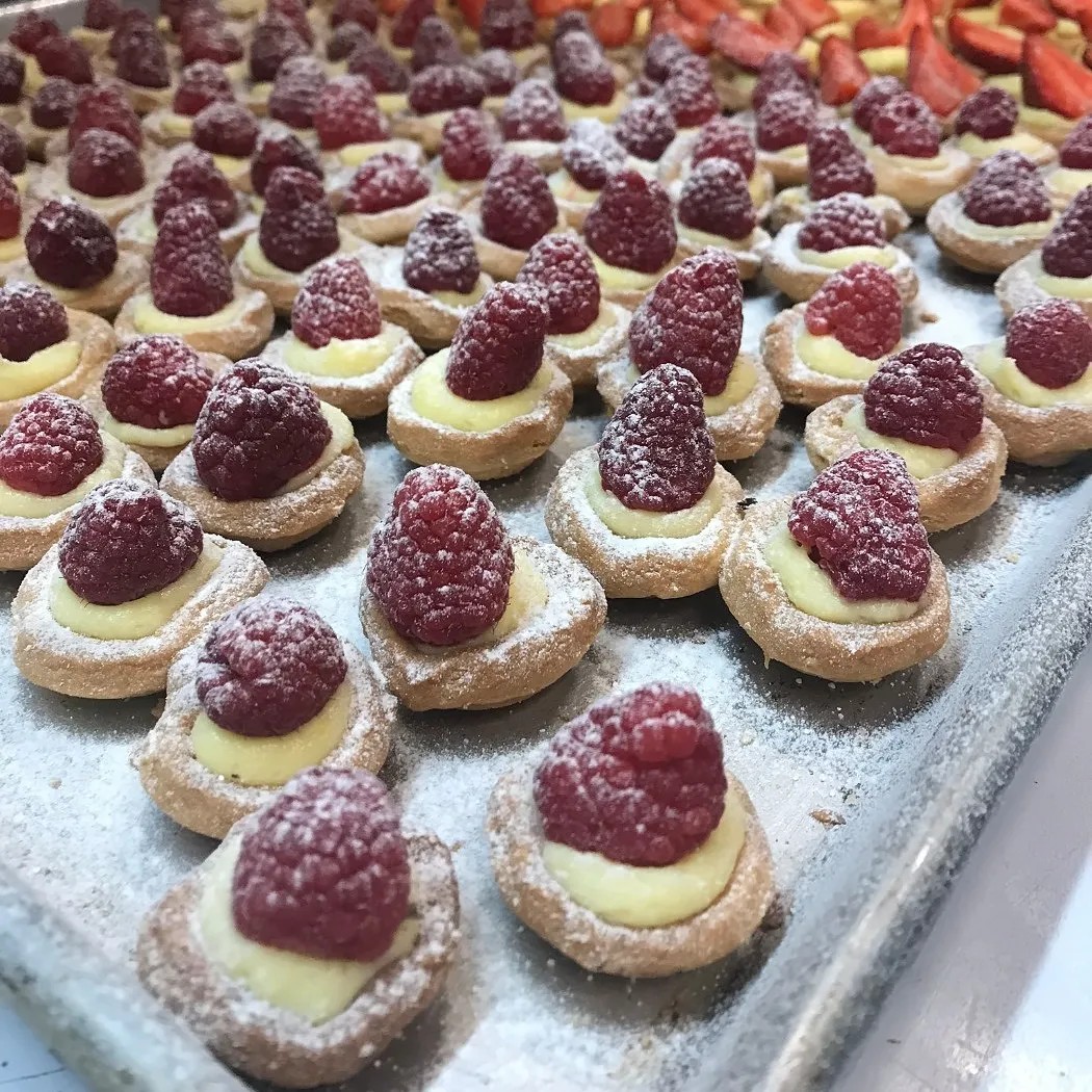 Image alt description