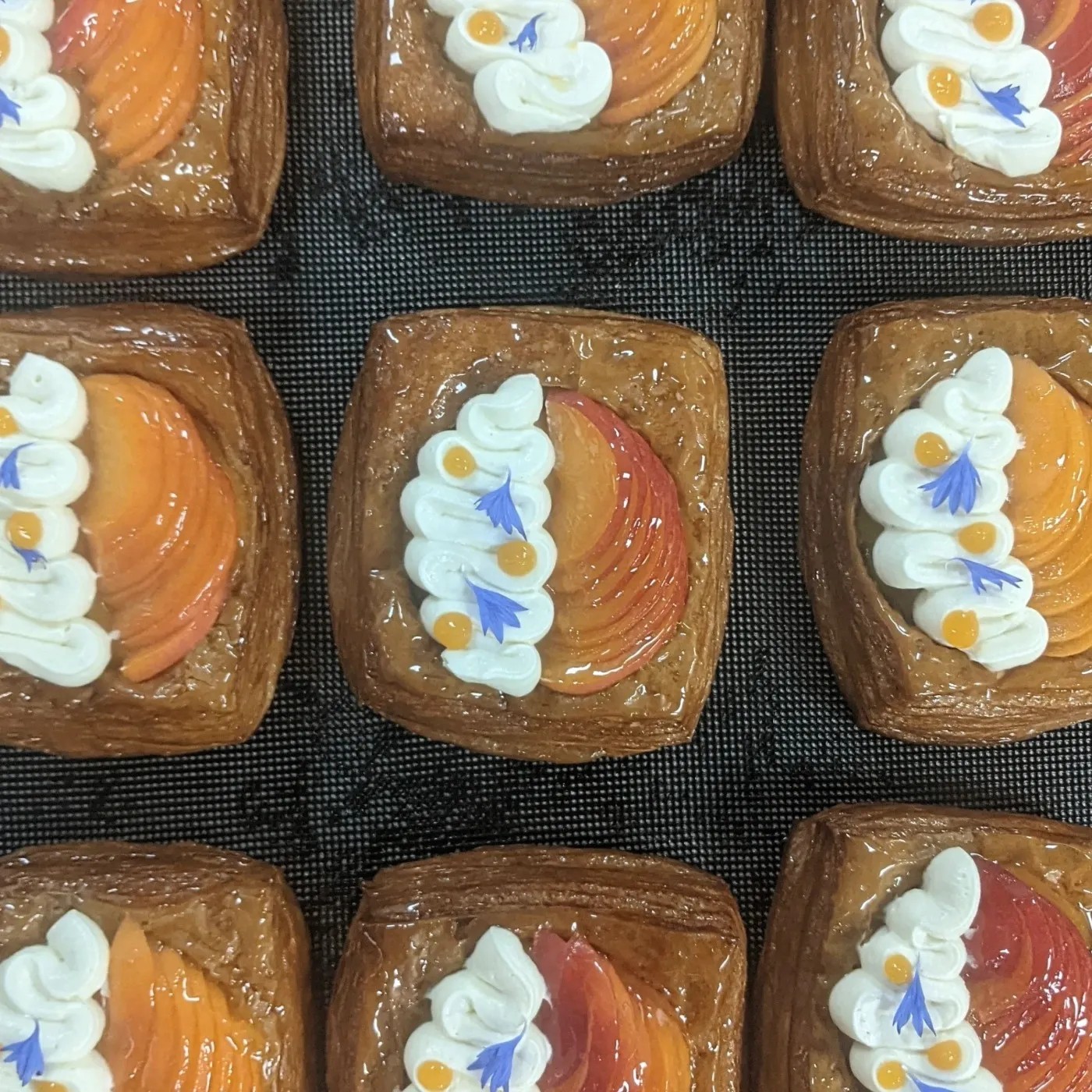 Image alt description