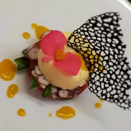 Image alt description