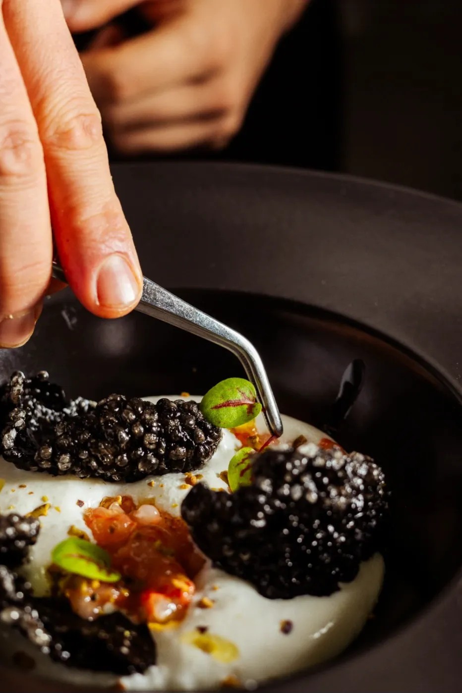 Image alt description