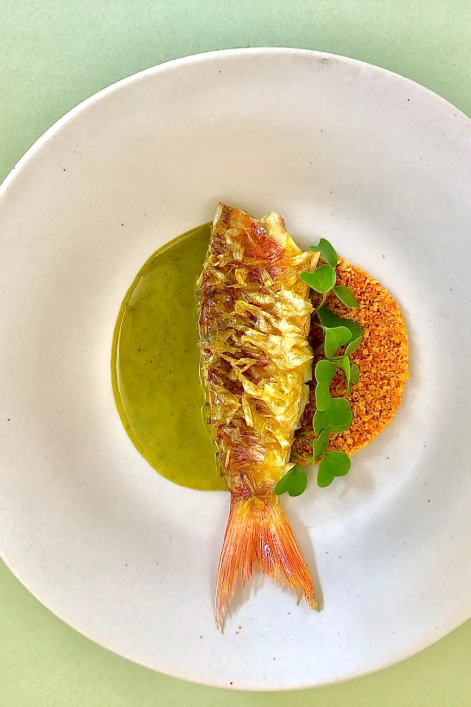 Image alt description