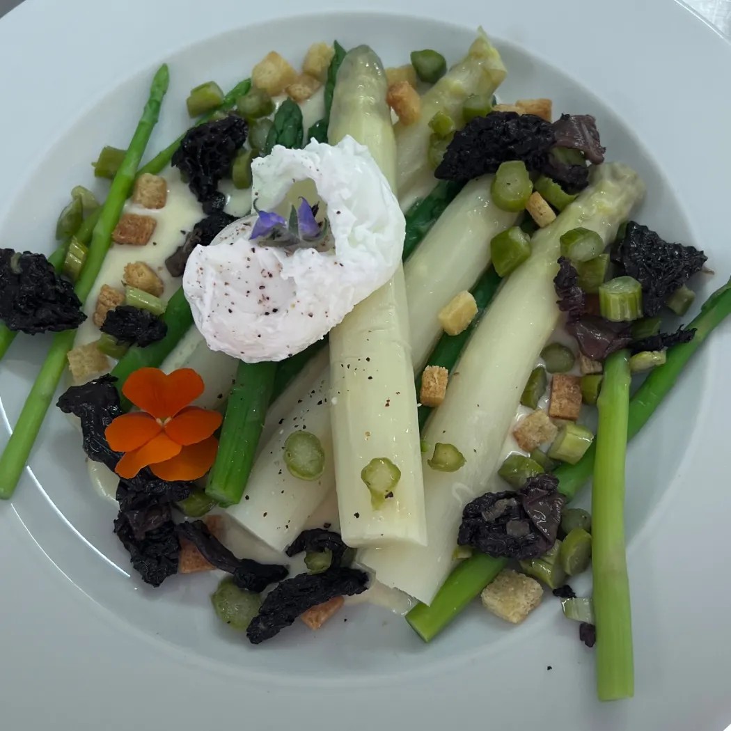 Image alt description