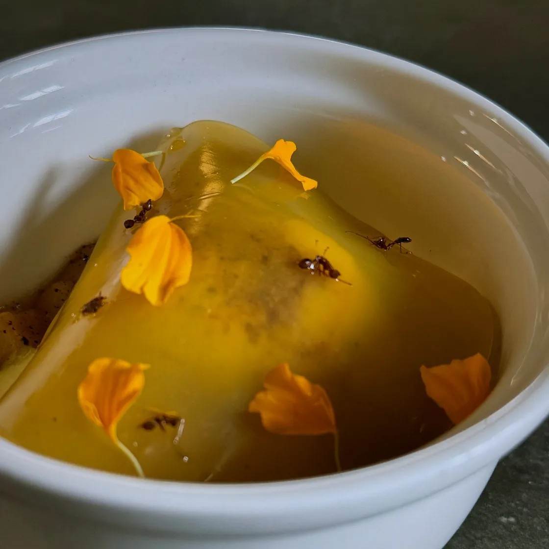 Image alt description