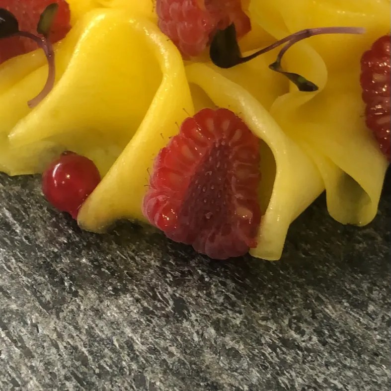 Image alt description