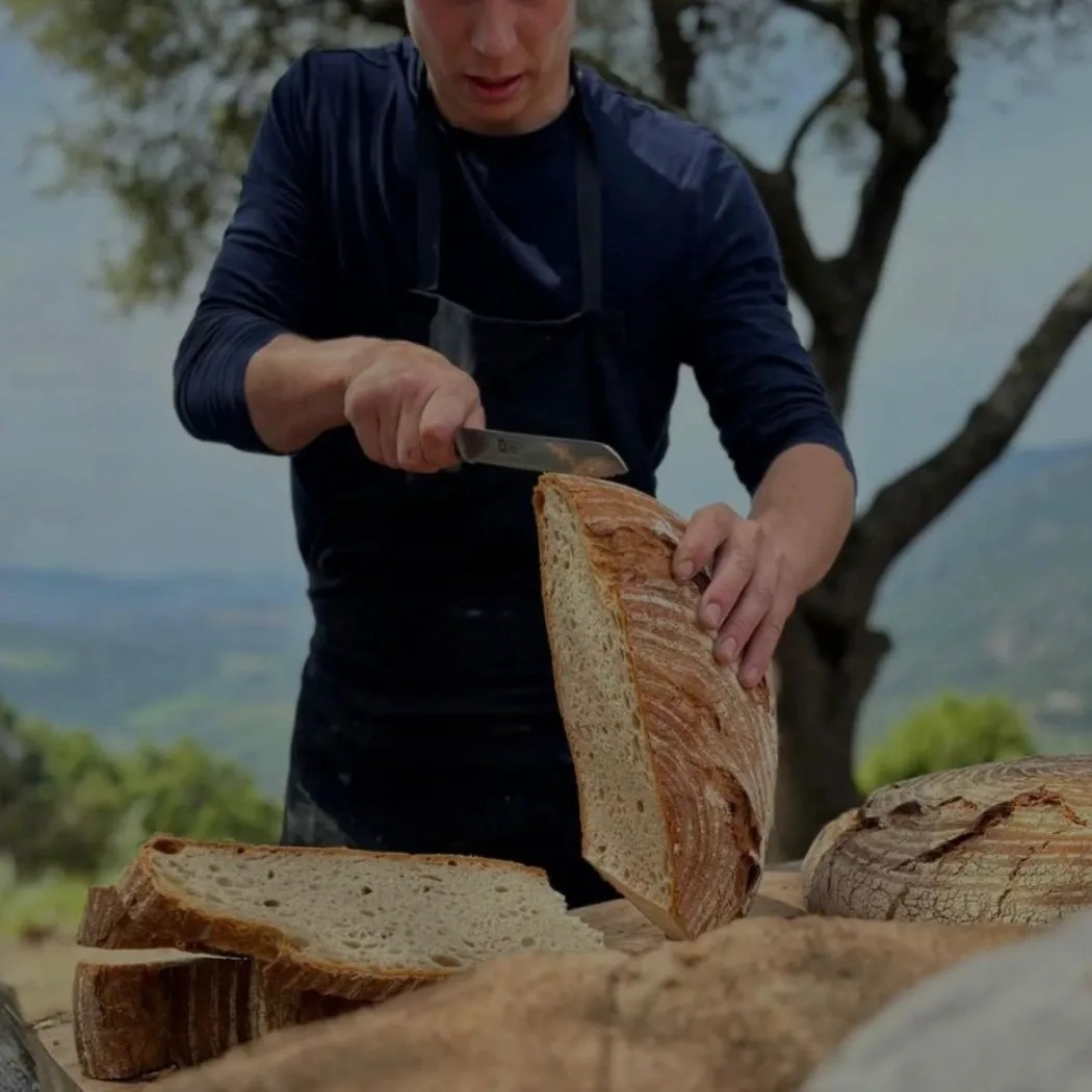 Image alt description