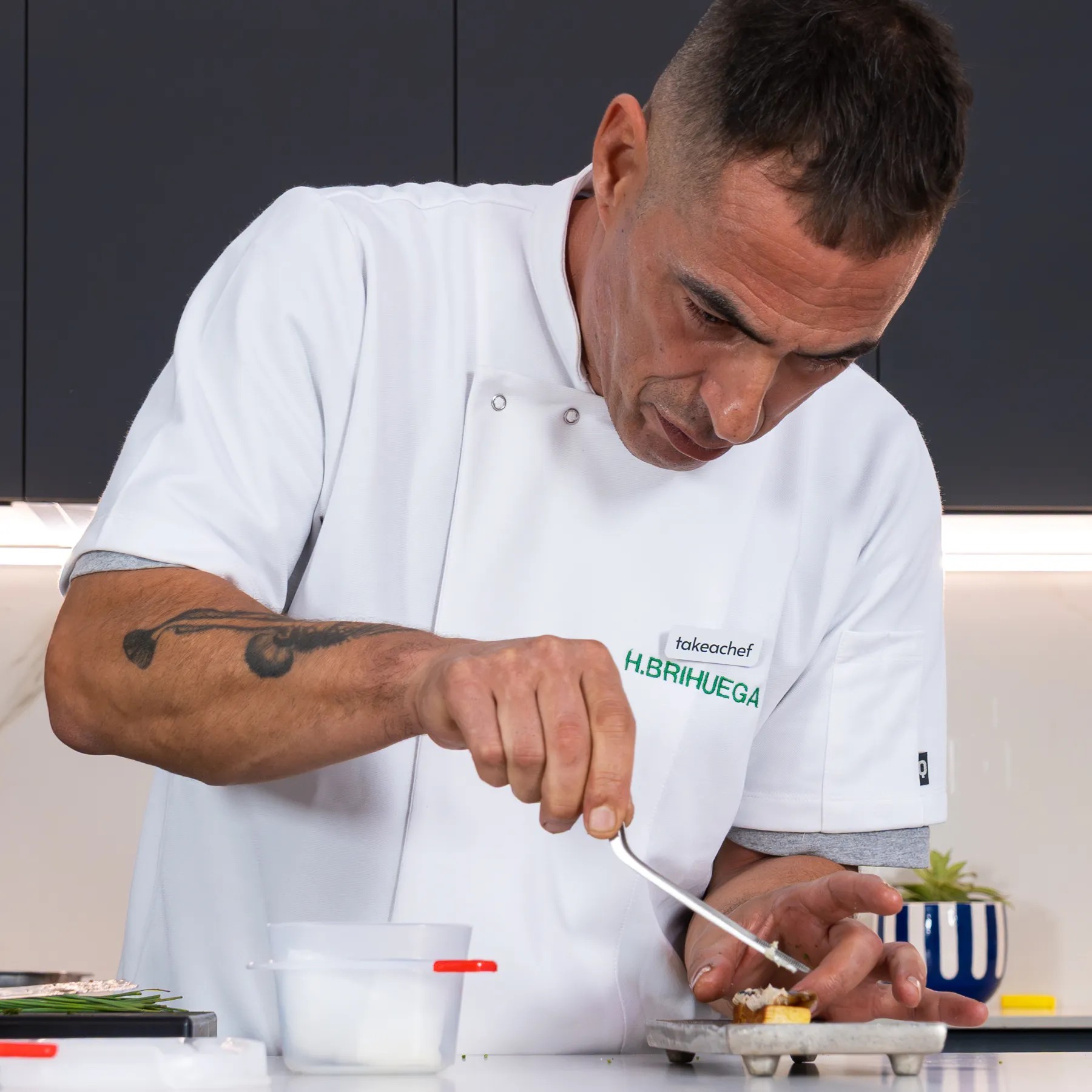 Image alt description