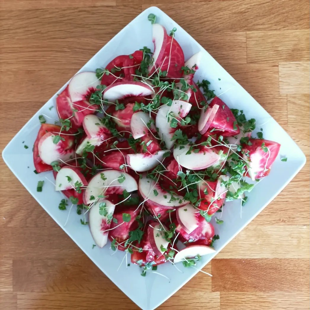 Image alt description