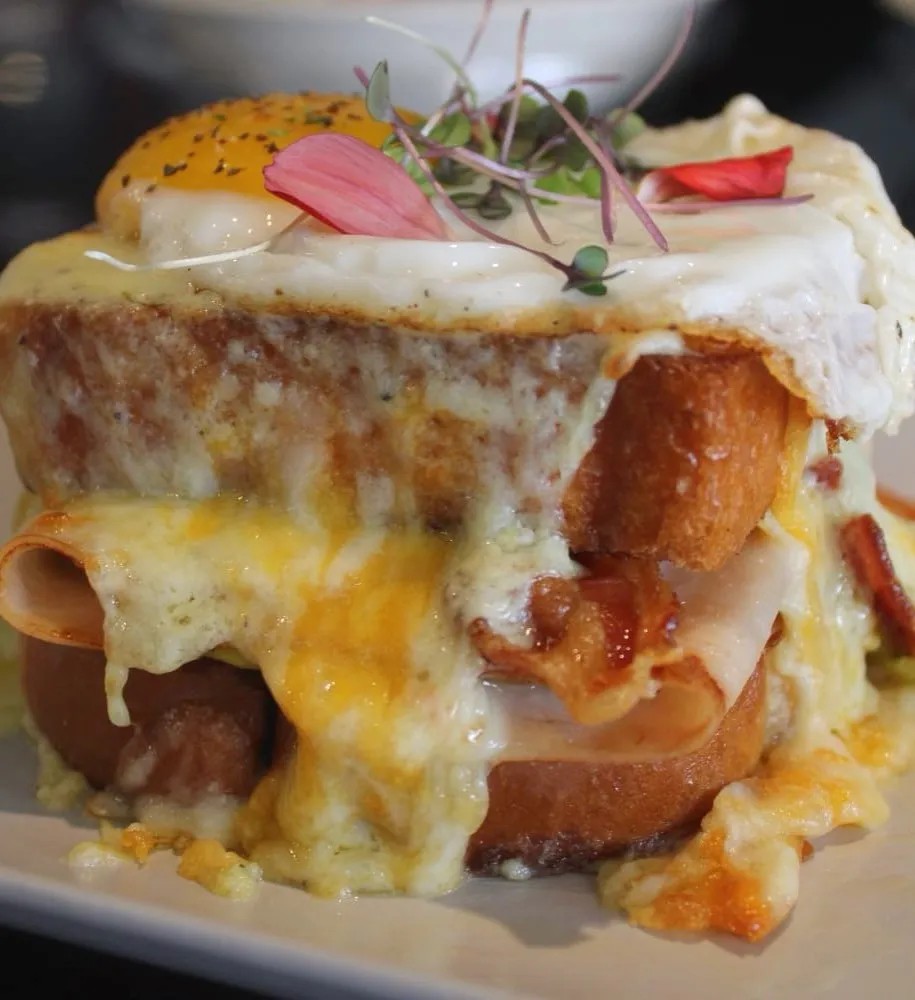 Image alt description