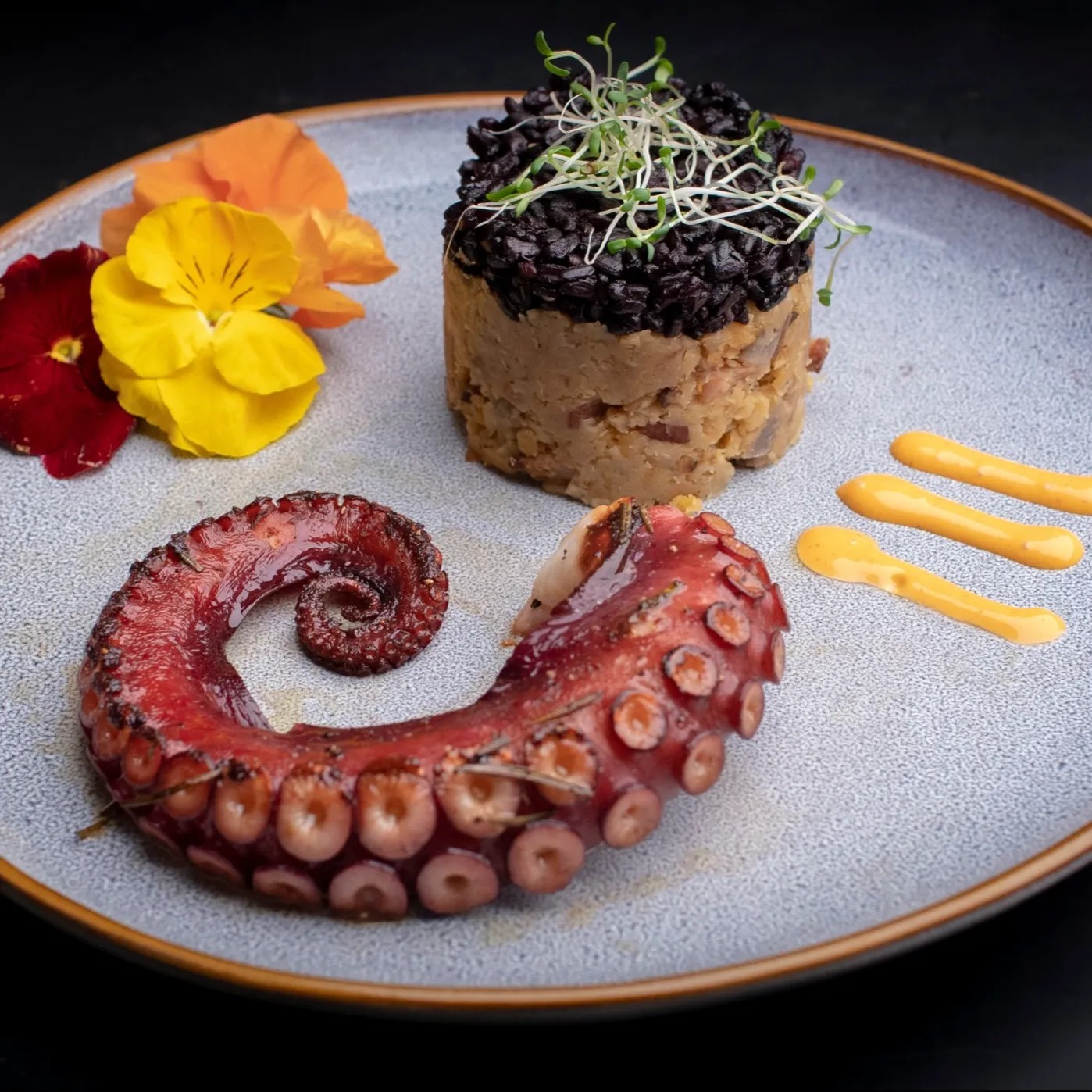 Image alt description