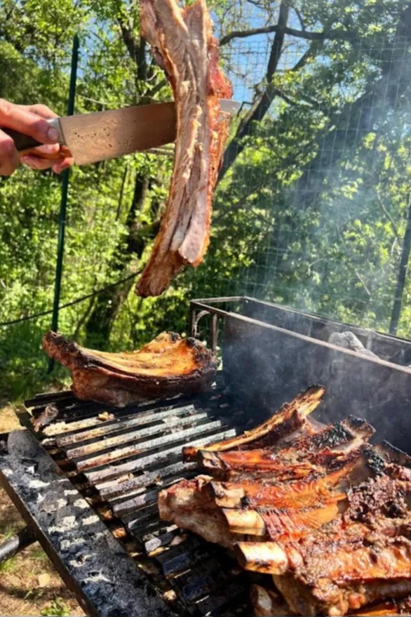 Image alt description