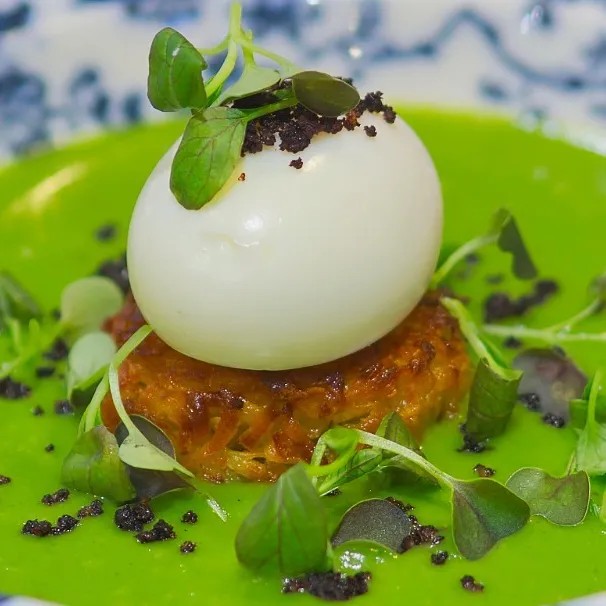 Image alt description