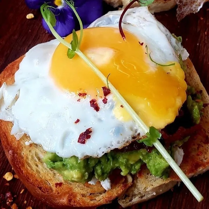 Image alt description