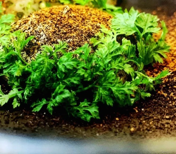 Image alt description