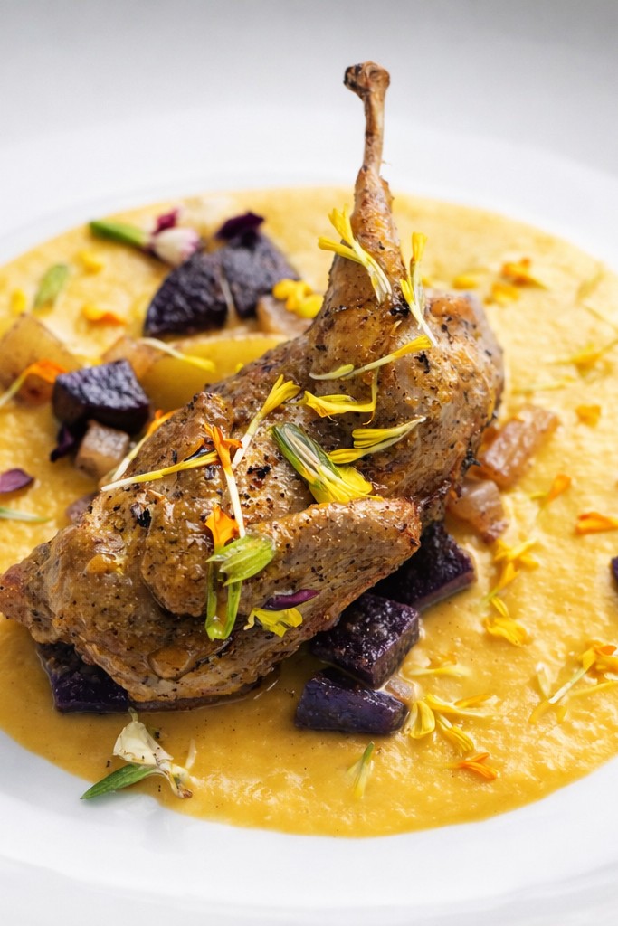 Image alt description