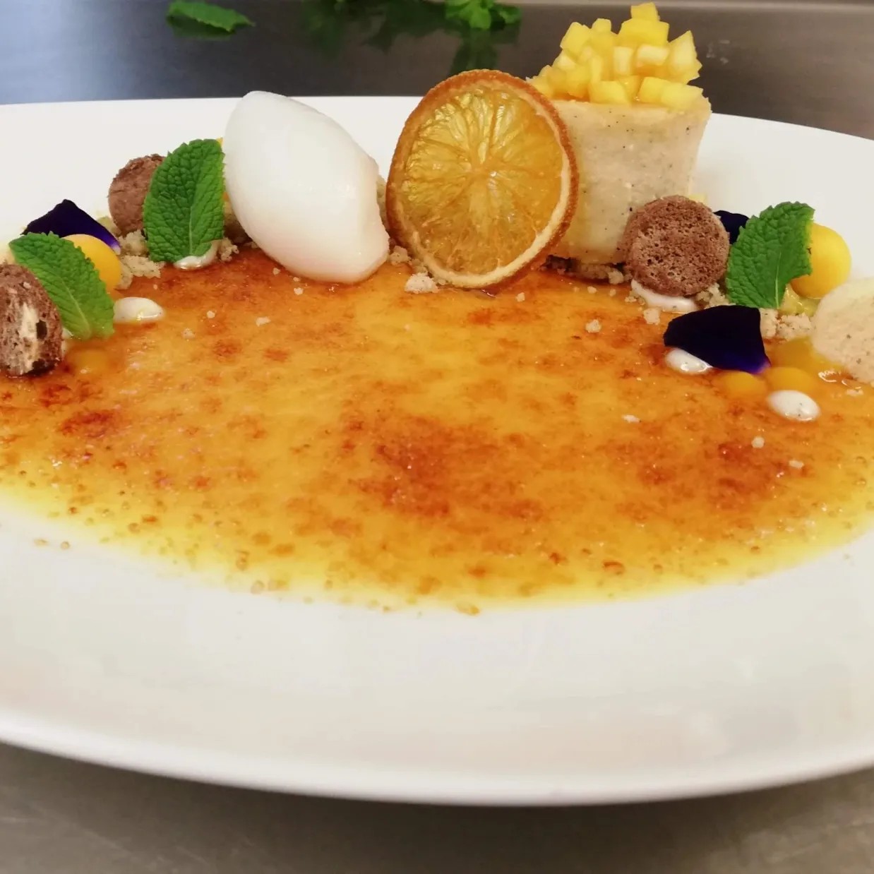 Image alt description