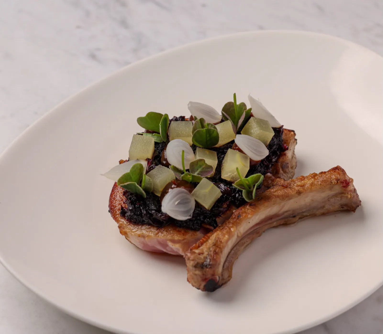 Image alt description