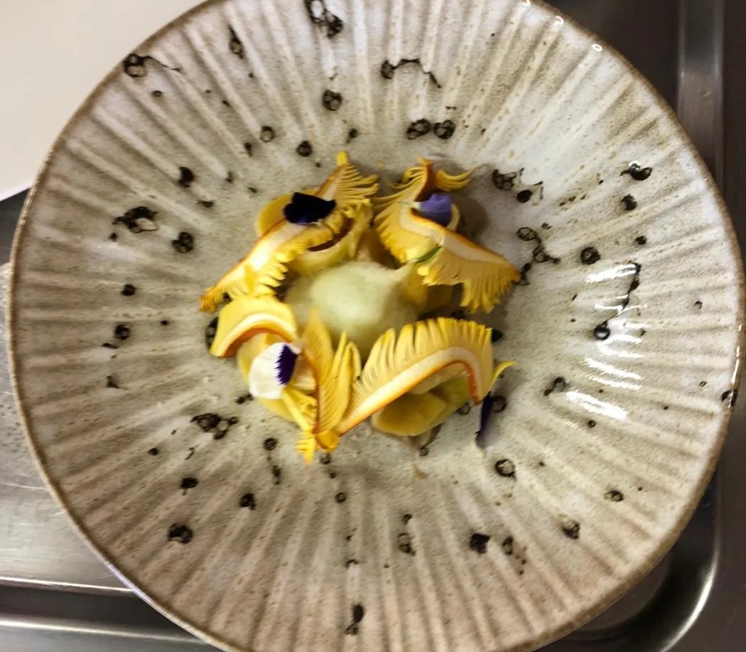 Image alt description