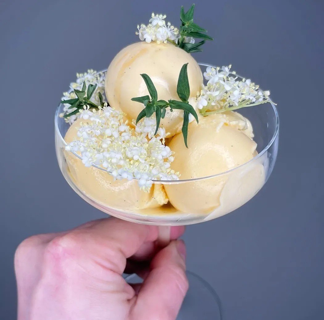 Image alt description