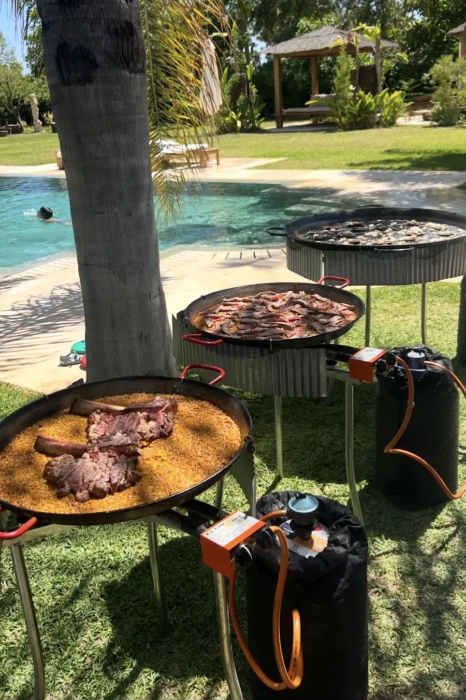 Image alt description