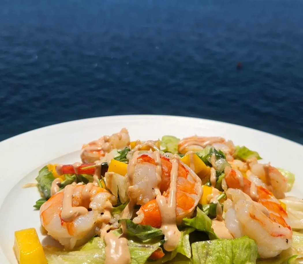 Image alt description