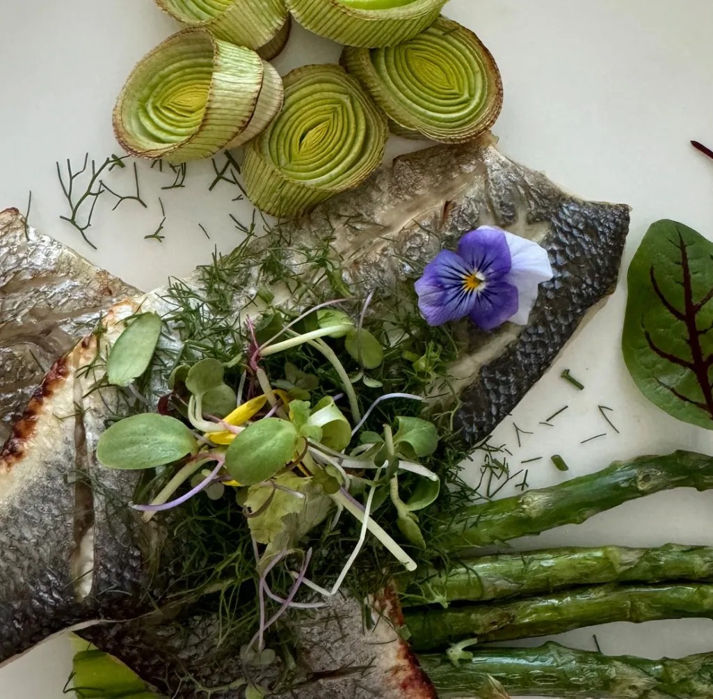 Image alt description